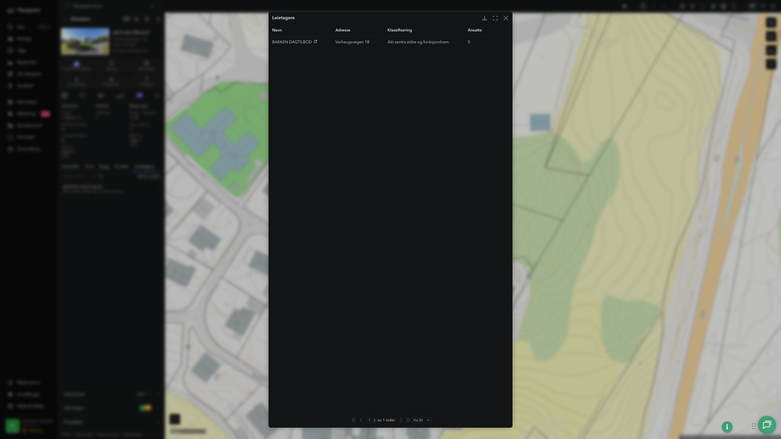 Leietagere i tabellvisning
