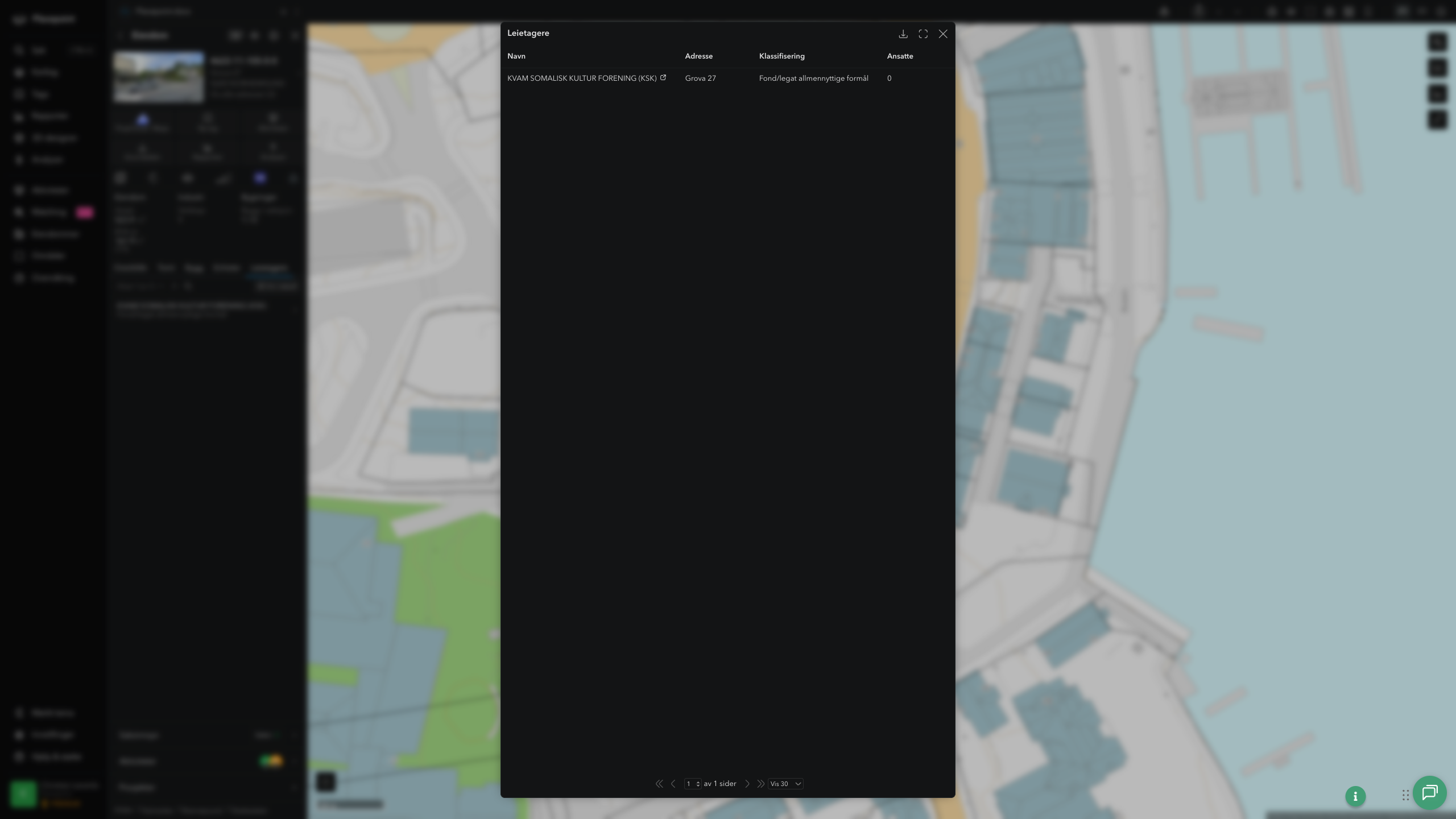 Leietagere i tabellvisning